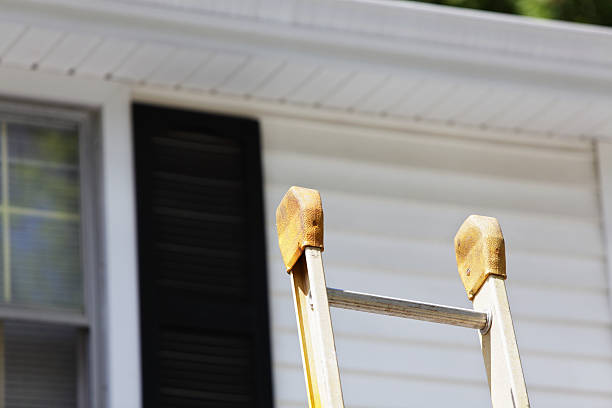 Best Construction Debris Removal  in Brocton, NY