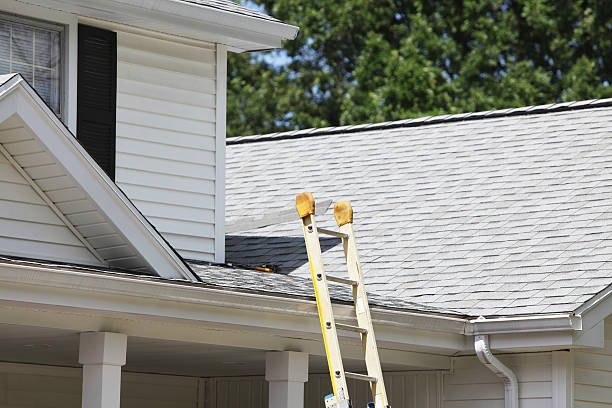 Best Carpet Removal and Disposal  in Brocton, NY